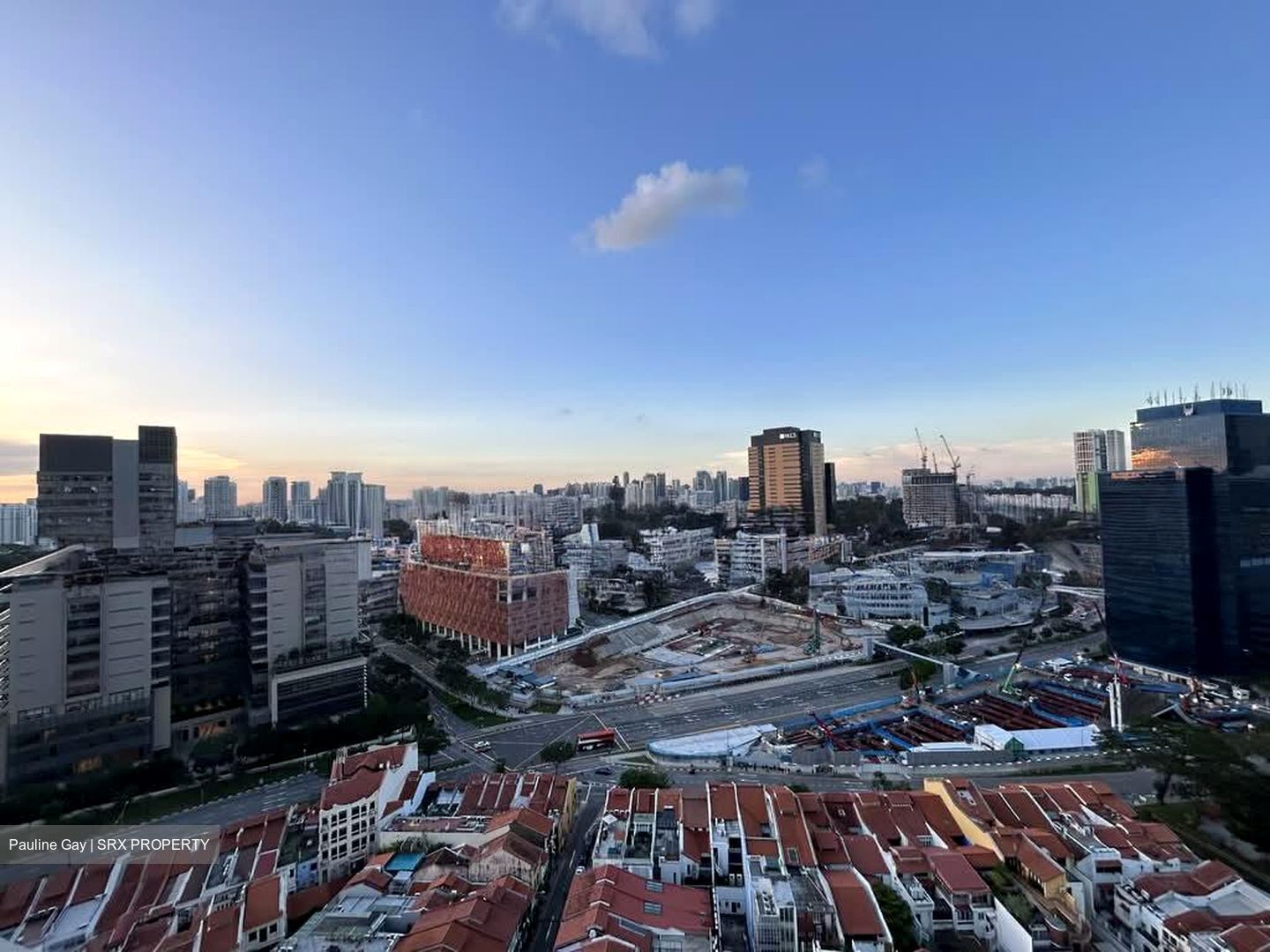 Spottiswoode Suites (D2), Apartment #536749401